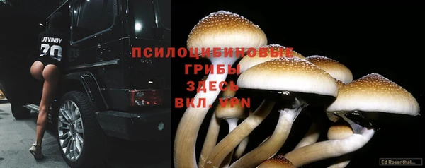 меф Липки