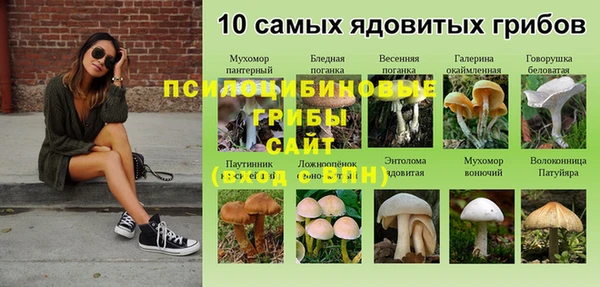прущая мука Лихославль