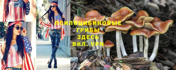 меф Липки