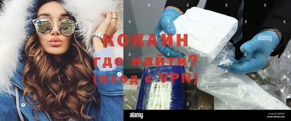 шишки Бронницы