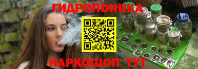 стаф Камышлов