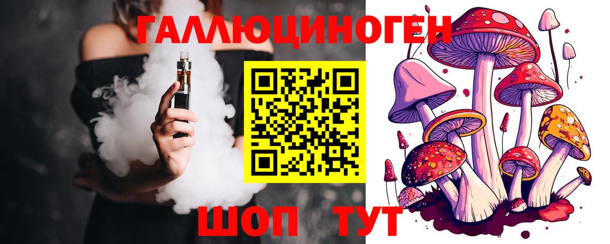 Псилоцибиновые грибы Cubensis Краснодар