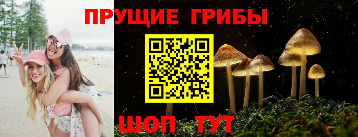 Галлюциногенные грибы Psilocybe  даркнет сайт  Краснодар  Вход с VPN  Псилоцибиновые грибы мухоморы 