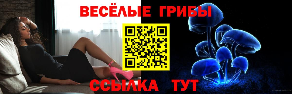 Галлюциногенные грибы Magic Shrooms Краснодар