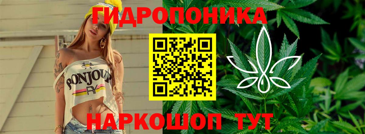 Конопля SATIVA & INDICA Краснодар